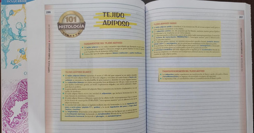 Histología Ross 8va