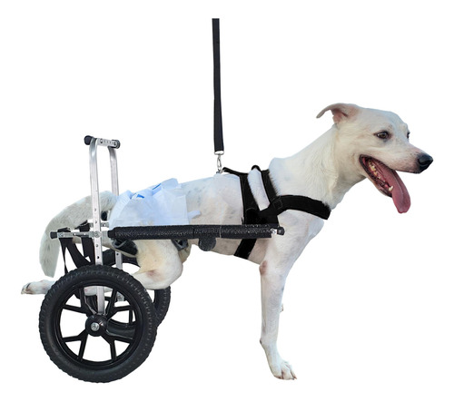 Cadeira Rodas Para Cachorro Pet De Grande Porte N4 Off Road
