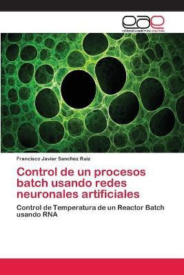 Libro Control De Un Procesos Batch Usando Redes Neuronale...