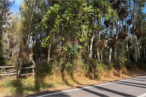 Terreno Agrícola En Venta En Coltauco 