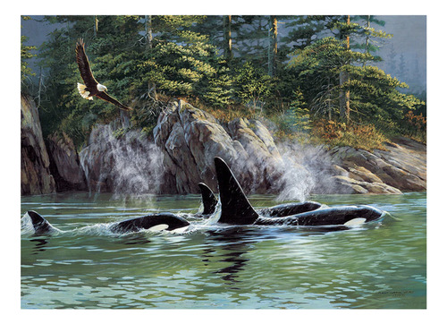 Rompecabezas Orcas Y El Bosque 1000 Pz Cobble Hill Naturaleza