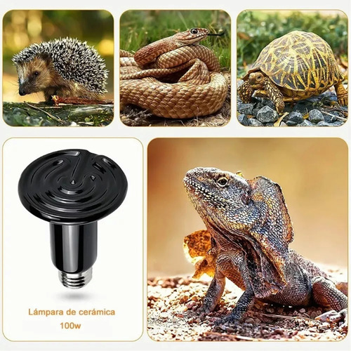 2 Focos De Cerámica De 100 W Para Acuarios Y Reptiles, Luz N