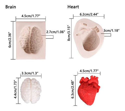 Molde De Silicona Con Forma De Corazón Con Forma De Cerebro