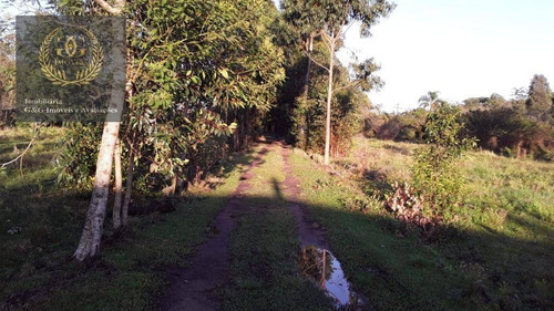 Imagem 9 de 13 de Excelente Oportunidade Em Itapuã - Si0048