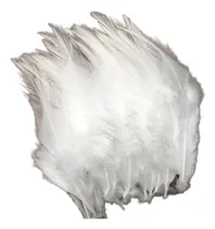 Comprar 50 Plumas Faisán Sueltas Chicas 10-15cm Artesanías Blancas