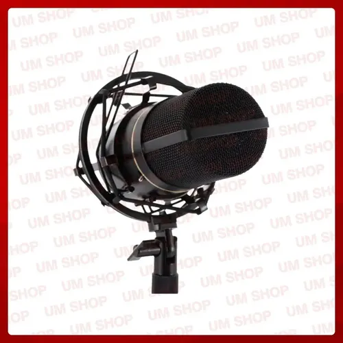 Mxl 770 Microfone Condensador Studio + Shockmount + Maleta | Frete
