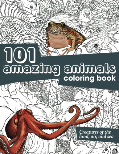 Libro: 101 Amazing Animals Coloring Book: Hand-drawn Designs