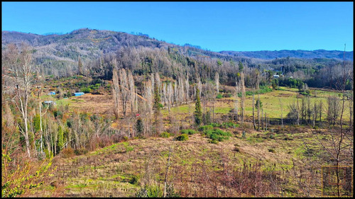 Parcela Rusticas, 5000m2 En Chacay,sta. Juana (112739)