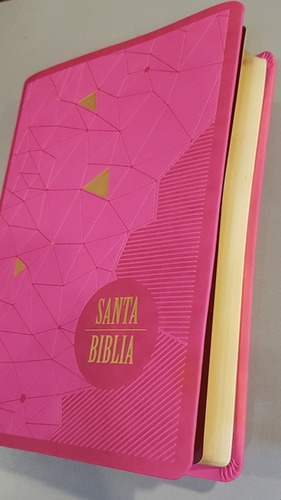 Biblia Reina Valera 1960 Letra Grande Rosa Con Canto Dorado