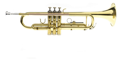 Trompeta Memphis Color Dorado