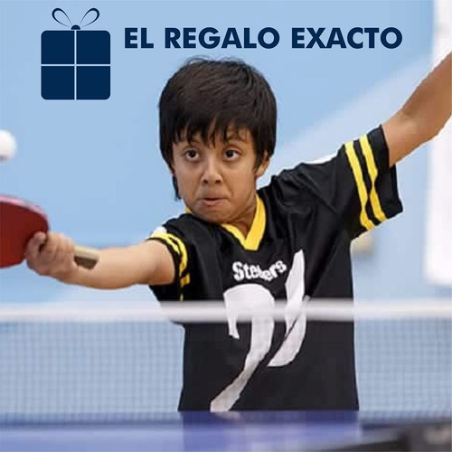 Juego De Ping Pong Todo En Uno, Incluye Red De Ping Pong
