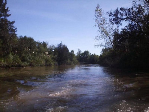 Imagen 3 de 4 de Fraccion 11 Ha En Venta Isla - Zona Delta Escobar