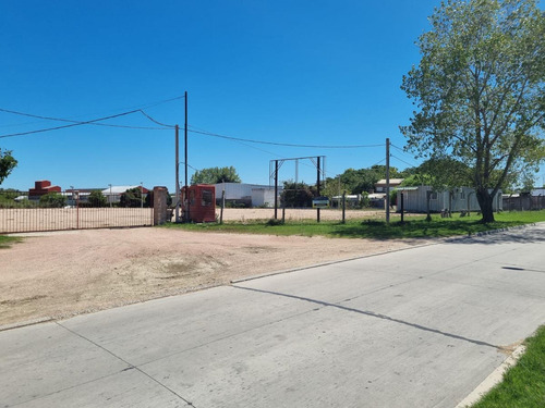 Imagen 3 de 26 de Depósito -camino Tomkinson Próximo Luis Batlle Berrescamino Tomkinson Próximo L. Batlle Berres, Predio De 5 Hectareas Y 1850 M2 De Deposito !!
