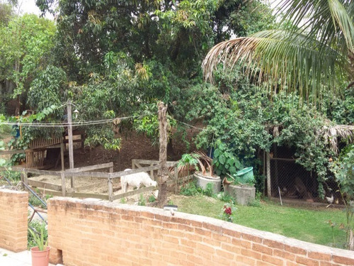 Chacara - Ch00215 - 69030362