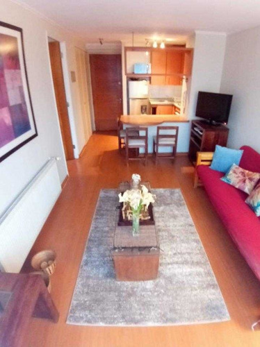 Imagen 10 de 11 de Barrio Bellas Artes, Acogedor Depto Un Dormitorio Amoblado