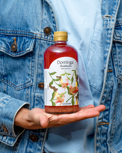Kombucha Sabores Varios