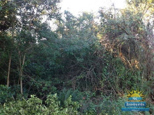 Imagem 3 de 8 de Terreno No Bairro Ingleses Em Florianópolis Sc - 13627
