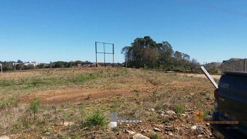 Imagem 6 de 6 de Terreno À Venda, 345 M² Por R$ 150.000,00 - De Lazzer - Caxias Do Sul/rs - Te0105