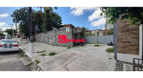 Imagem 25 de 27 de Galpão Belém - 1007562