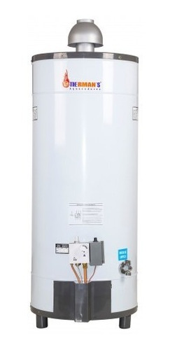 Aquecedor De Água Acumulação Boiler Thg 250l Glp/gn Thermans