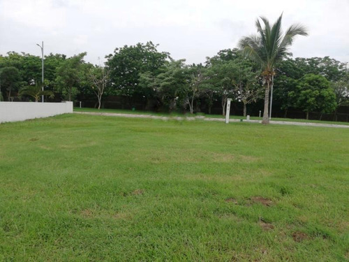 Imagen 1 de 3 de Terreno En Venta El Dorado