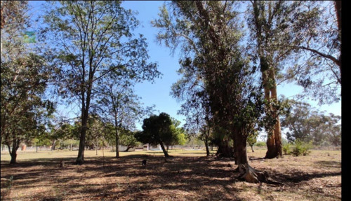Quinta En Venta- 12 Has Con Pileta- Verónica