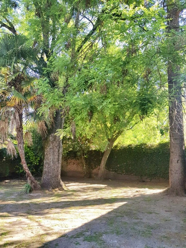 Imagen 15 de 17 de La Rosa Al 1100, Casa En Dos Plantas Sobre Gran Lote