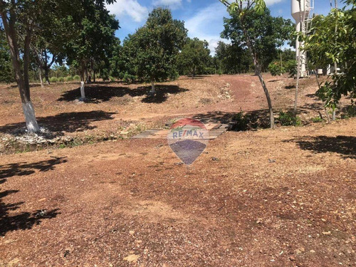 Imagem 6 de 8 de Chácara Á Venda No Condomínio Mirella 2 - Chapada Dos Guimarães/mt - Ch0005