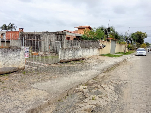 Imagem 3 de 10 de Terreno - Sao Sebastiao - Ref: 31829 - V-31826