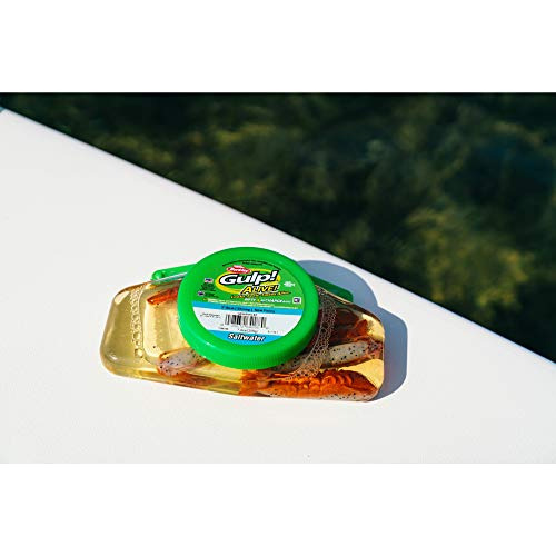 ¡gulp Alive Camarones
