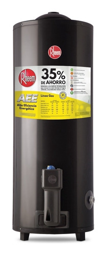 Termotanque A Gas Rheem 80 Litros Tgnp080 De Pie C/ Superior