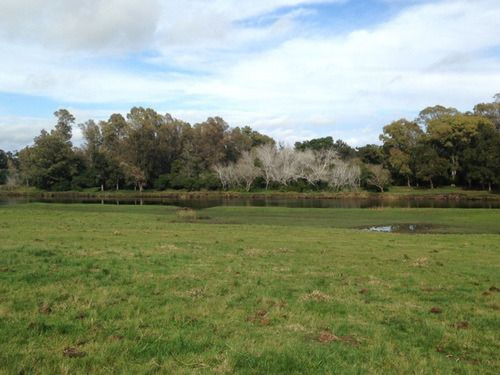 Campo En Maldonado Ref. 4536