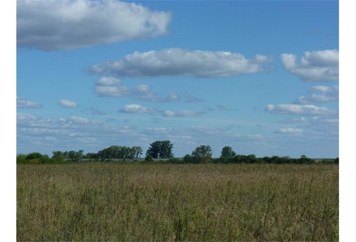 Imagen 6 de 12 de Campo Agrícola - El Redomon
