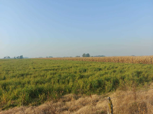 Imagen 1 de 11 de Chacra De 18 Hectareas En Saladillo Sobre Ruta 205