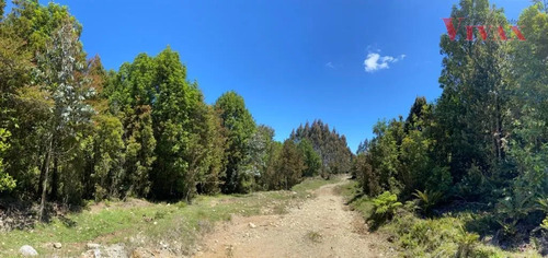 Terreno De 38 Has, Divisible-agrícola En Calbuco