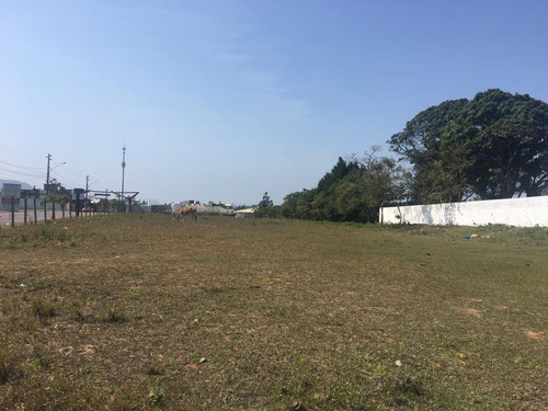 Imagem 3 de 5 de Terreno Em São João Do Rio Vermelho, Florianópolis/sc De 3150m² À Venda Por R$ 1.702.000,00 - Te705274-s
