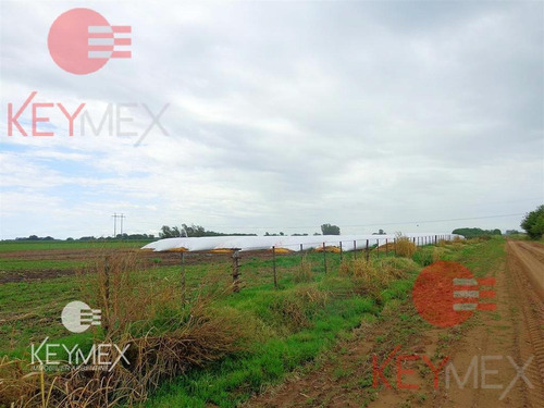 Campo - Estancia - Haras- Bragado - Agricola - Ganadero