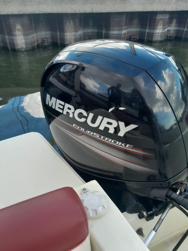Imagen 22 de 24 de Gg 730 Cabinado Full Mercury 4t 2013