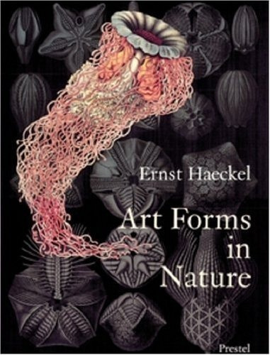 Art Forms In Nature: The Prints Of Ernst Haeckel, De Ernst Haeckel. Editorial Prestel, Tapa Blanda En Inglés