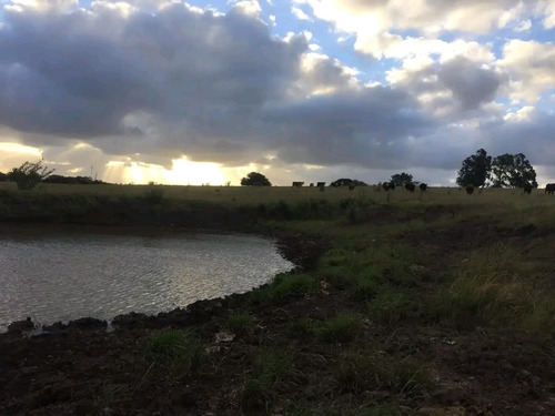 Venta De Campo En Pan De Azúcar, 36 Ha Con Vista A Las Sierras De Las Animas, Costa Al Arroyo El Renegado, 3 Tajamares.