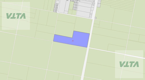 Imagen 4 de 8 de Venta Campo San Vicente 62 Hectareas