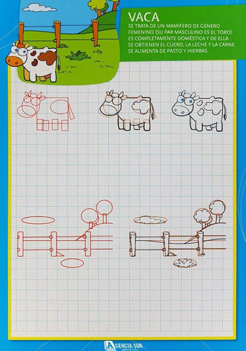 Libro Animales De Colores + Pizarra P/dibujar + Cd - Niños