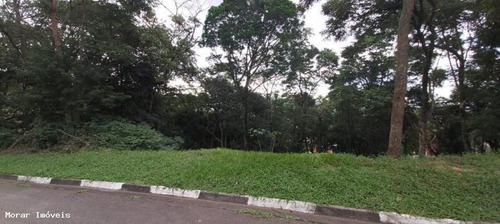 Imagem 3 de 7 de Terreno - Te00007 - 67693248