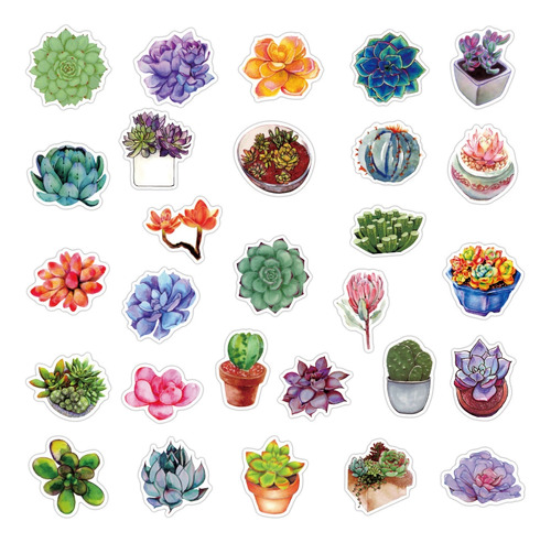 50 Adesivos Decorativos Suculentas Coloridas Enfeite