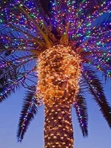 Serie Led Solar Colores Serie Colors 11 Mts 100 Leds Fiestas