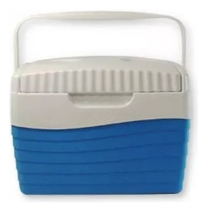 Conservadora Viandera Lunchera Heladera Camping Colonia 4lts