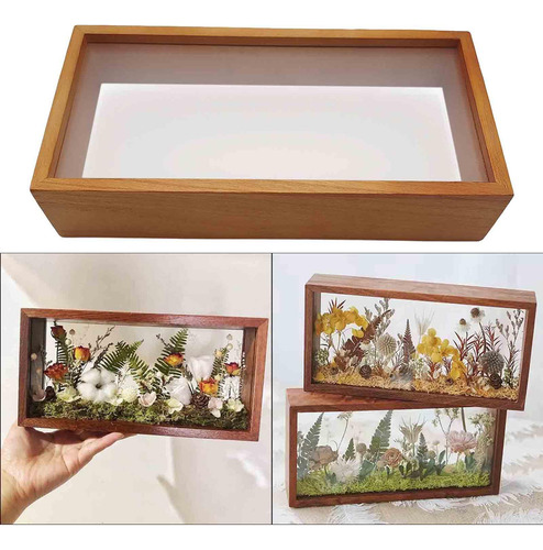 Para Z0hz Caixa De Sombra Quadro De Flores Secas Caso De 6
