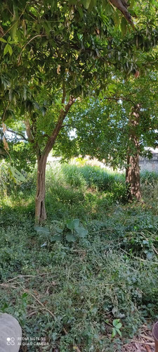 Imagen 11 de 11 de Venta Terreno En Centro De Palo Negro Ocumarito Edo Aragua.
