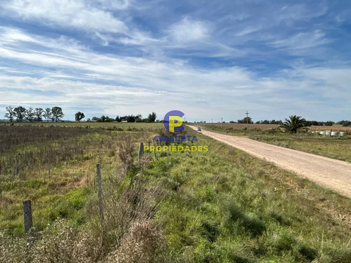 3 Hectáreas En Canelones, Entrega 20 Mil Y Saldo A Dos Años