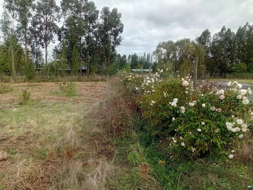 Parcela De 6860mt2 De Superficie, Cerrillo Bascuñan, Molina
